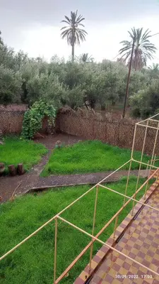 a fence in a yard with grass and palm trees at Gite famille saghir in Skoura