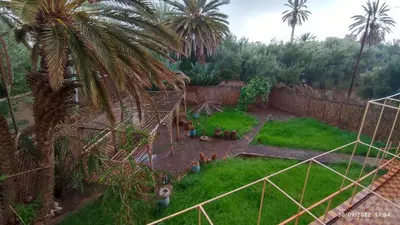 a garden with a palm tree and a fence at Gite famille saghir in Skoura
