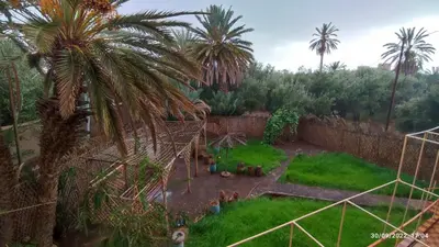 a garden with palm trees and a fence at Gite famille saghir in Skoura