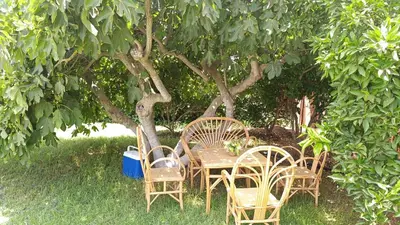 a table and chairs sitting under a tree at Villa Dayet Roumi House in Friday Market