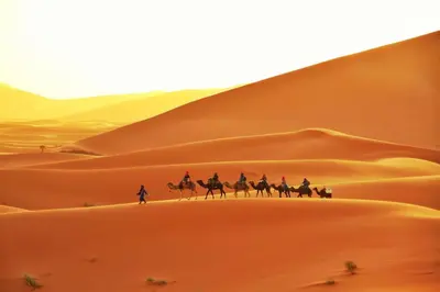 a group of people riding horses in the desert at Morocco Tour Itineraries in Merzouga