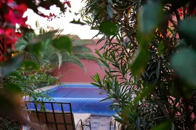 a swimming pool in a garden with plants at Villa Zazate private pool & starry garden in Ouarzazate