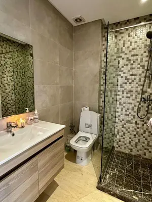 a bathroom with a toilet and a sink and a shower at Appartment central view on Hassan II in Oulad Akkou