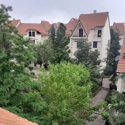 Centrical apartment in Ifrane forest and park view
