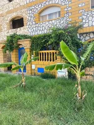 a building with a fence and a tree in the grass at Maison villa in Oulad Akkou