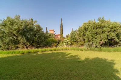 a large field with trees and a house in the background at Havre de Paix à Marrakech in Heddad
