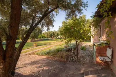 a bench sitting under a tree next to a path at Havre de Paix à Marrakech in Heddad