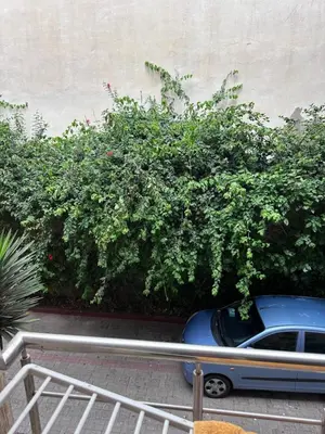 a blue car parked in front of a bush at Appartment propre in Oulad Akkou