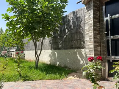 a tree in front of a building with a fence at dar marwa in Fès