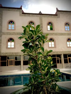 a plant in front of a building with a pool at Hotel KASBAH DADES MGOUN in Kalaat MGouna