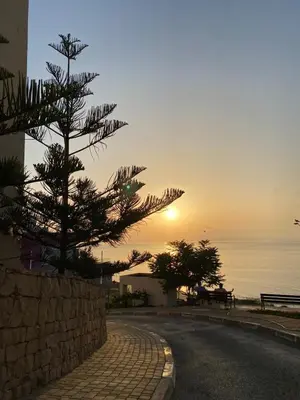 a tree on the side of a road near the ocean at Facing the sea, close to the Corniche in Oulad Akkou