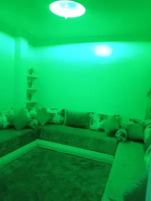 a living room with a couch in a green room at Kinan in Fès