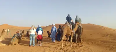 a group of people on camels in the desert at desertcamp in Merzouga