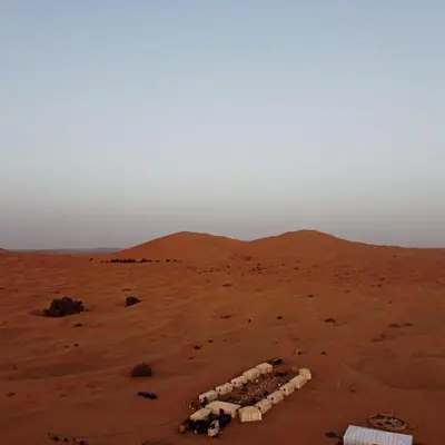 a herd of sheep standing in the desert at moon luxury Dessert camp in Merzouga