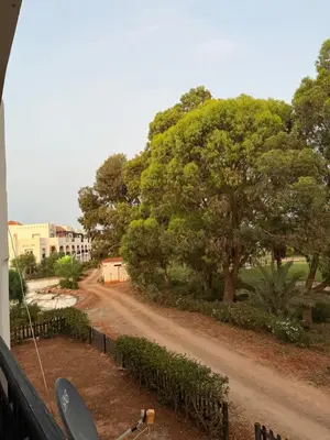 a view of a dirt road with a tree at Le séjour idéal in Oulad Akkou
