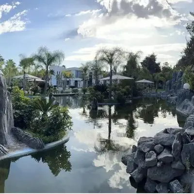 Oasis Serenity