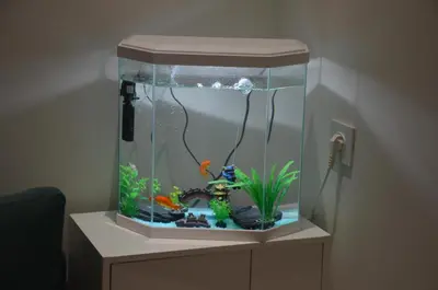 a fish tank sitting on top of a table at Cozy Apartment close to amenities in Fès