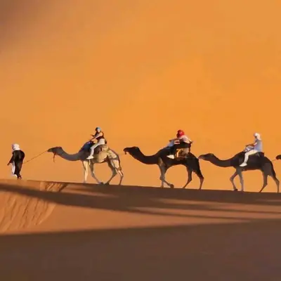 a group of people riding camels in the desert at Merzouga Hosting & Camelride in Merzouga