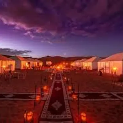 a group of lights in a field at night at Merzouga Hosting & Camelride in Merzouga