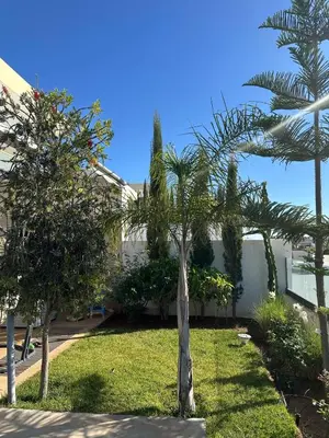 a palm tree in a yard next to a building at Taghazout Bay Villa AMDA in Oulad Akkou