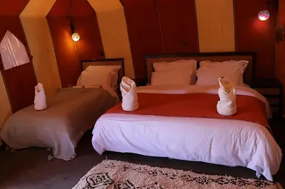 a bedroom with two beds with cats on them at Azul desert camp in Merzouga
