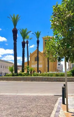 a row of palm trees in front of a building at The White House Tetouan in Oulad Akkou