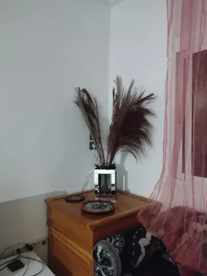 a room with a wooden dresser with a potted plant on it at Super appartement quartier paisible proches toutes commodités in Azrou