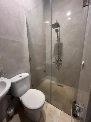 a bathroom with a shower and a toilet and a sink at luxury villa ourika in Oulad Akkou