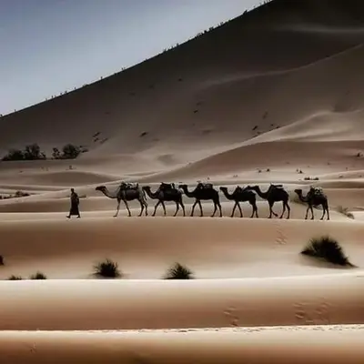 Hotel Dar Sahara