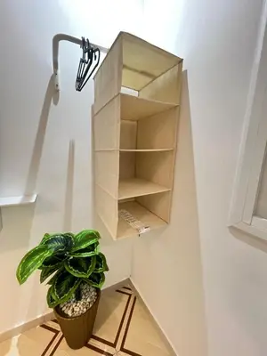 a plant sitting on a floor next to a shelf at Charment studio avec terrasse in Er Rachidia