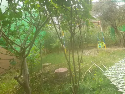 a playground in a garden with a blue swing at Ecogite La Tourterelle - Guesthouse in Kalaat MGouna