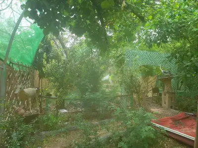 a garden with a fence and an animal in a yard at Ecogite La Tourterelle - Guesthouse in Kalaat MGouna