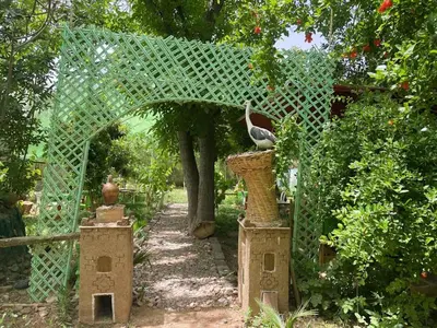 a bird sitting in a basket under a fence at Ecogite La Tourterelle - Guesthouse in Kalaat MGouna