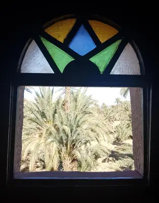 a window with a view of a palm tree at Rose du Sable in Agdz