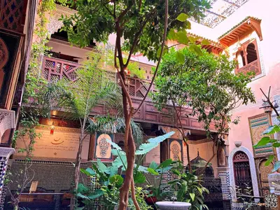 a building with a tree in front of it at Riad Toyour- Riad of birds in Fès