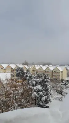 a snow covered tree in front of a building at Résidence la Gazelle 0-6-1-7-6-1-3-8-7-3 in Ifrane