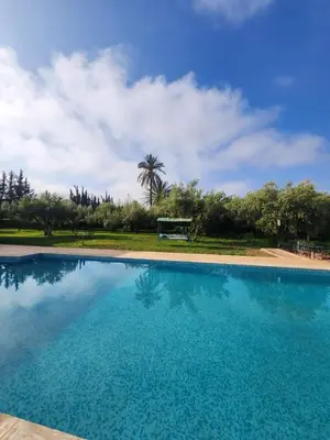 a large blue swimming pool with a palm tree in the background at La dolce villa in Sidi Bouzguia