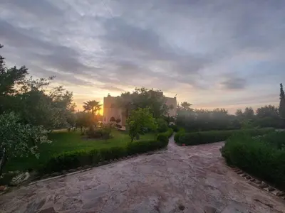 a house in the middle of a garden at sunset at La dolce villa in Sidi Bouzguia