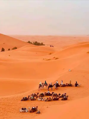 a group of people riding horses in the desert at Luxury sahara in Merzouga