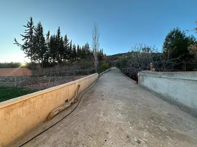a dirt road with a retaining wall and trees at Ferme avec piscine et vue panoramique in Khenifra