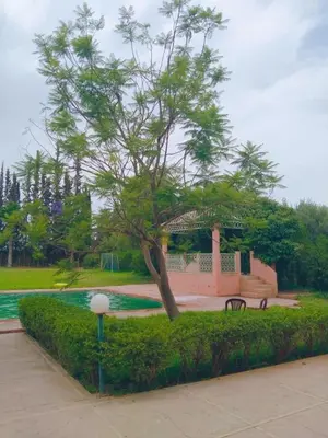 a tree and a bench in a park at Exceptional villa in Marrakech - privacy and comfort in Heddad