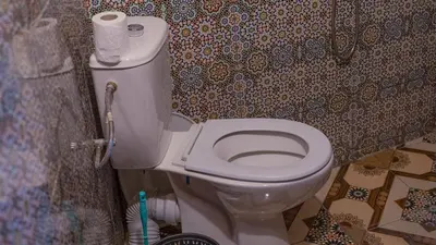 a bathroom with a toilet with a roll of toilet paper at Gîte Forest Tagroumet traditionel in Ifrane