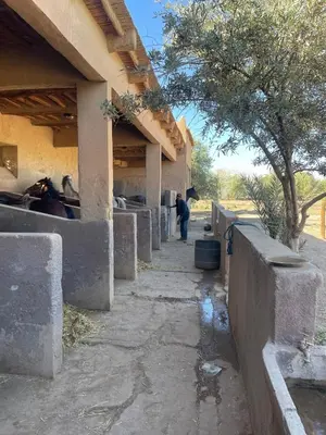 a person walking down a sidewalk next to a building at Skoura Ranch Palm Grove in Ouarzazate