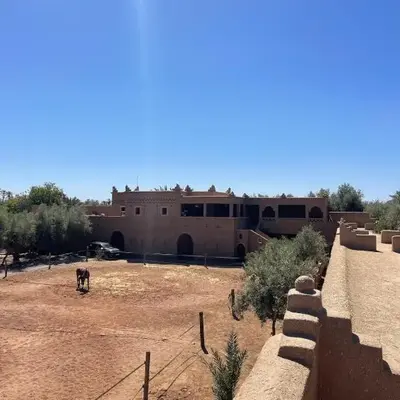 Skoura Ranch Palm Grove