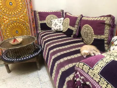 a cat sleeping on a couch in a room at Reggae Riad in Fès