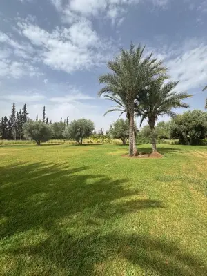 a field with two palm trees in a park at Villa H in Oulad Snaguia
