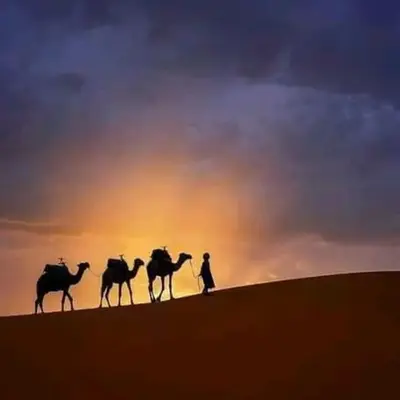 Luxury Sahara Gold Camp