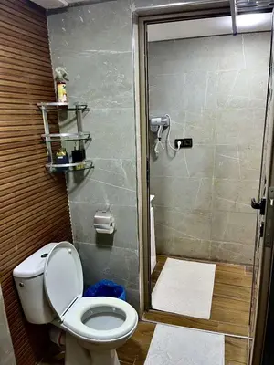 a bathroom with a toilet and a shower at Dar Al Batoul Meknes in Meknès