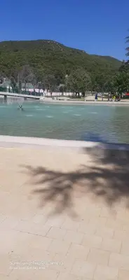 a tree blowing in the wind next to a body of water at Villa spacieuse 3 chambres à l'entrée de la ville in Imouzzer Kandar