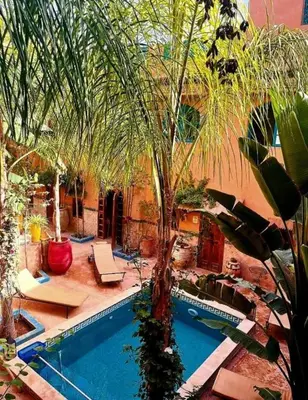 a swimming pool with a palm tree in a courtyard at Maison des maitres in Tafza